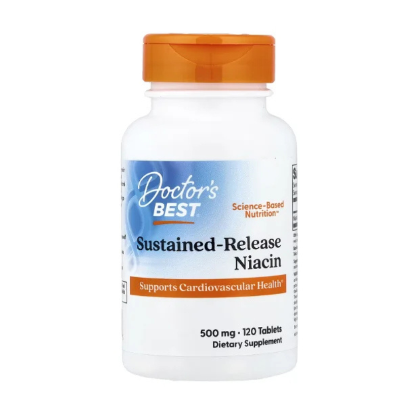 Doctor's Best, Sustained-Release Niacin, 500 mg, 120 Tablets in Pakistan